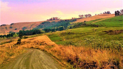 Ultima Thule Cottages Currys Post Kwazulu Natal South Africa Colorful, Field, Nature, Agriculture