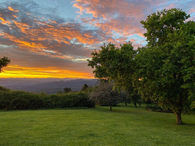 Ultima Thule Cottages Currys Post Kwazulu Natal South Africa Sky, Nature, Tree, Plant, Wood, Sunset