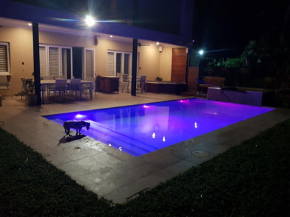 Umhlanga Lodge, Palm Tree, Plant, Nature, Wood, Swimming Pool