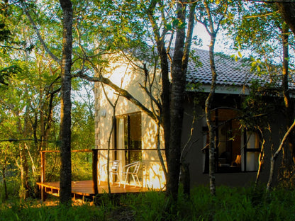 Umkhumbi Lodge Hluhluwe Kwazulu Natal South Africa Building, Architecture, Tree, Plant, Nature, Wood