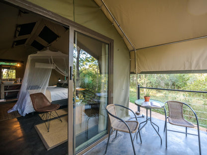 Umkumbe Bush Lodge Luxury Tented Camp Malamala Game Reserve Mpumalanga South Africa 
