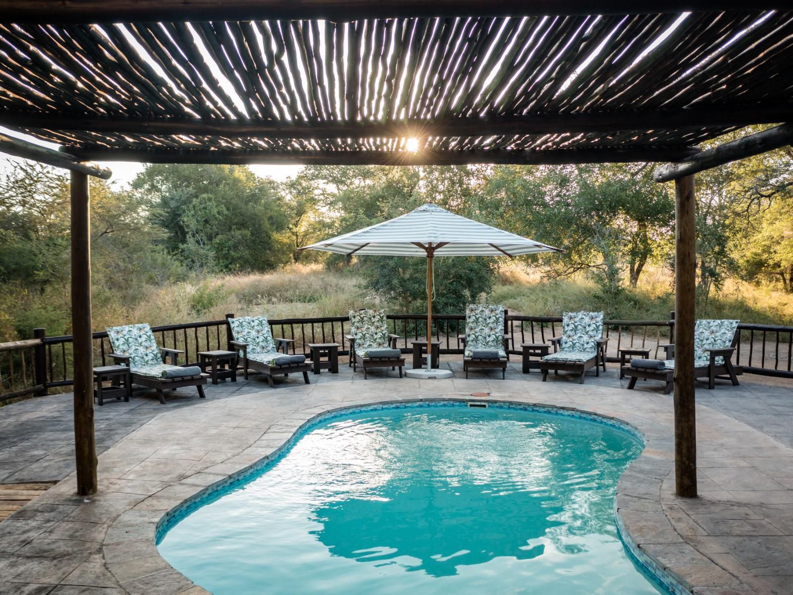 Umkumbe Bush Lodge Luxury Tented Camp Malamala Game Reserve Mpumalanga South Africa Swimming Pool