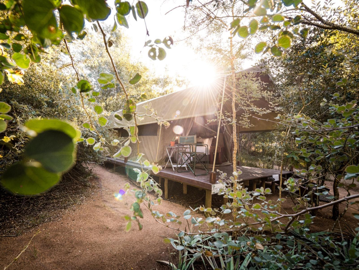 Apple Leaf Standard Tent @ Umkumbe Bush Lodge Luxury Tented Camp