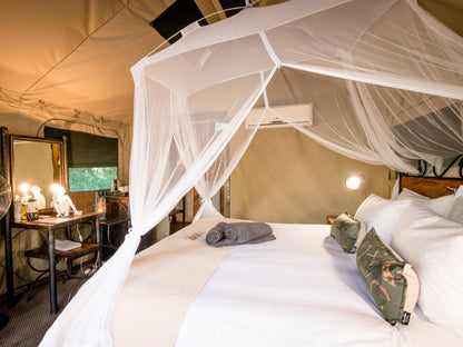 Jackalberry Standard Tent @ Umkumbe Bush Lodge Luxury Tented Camp