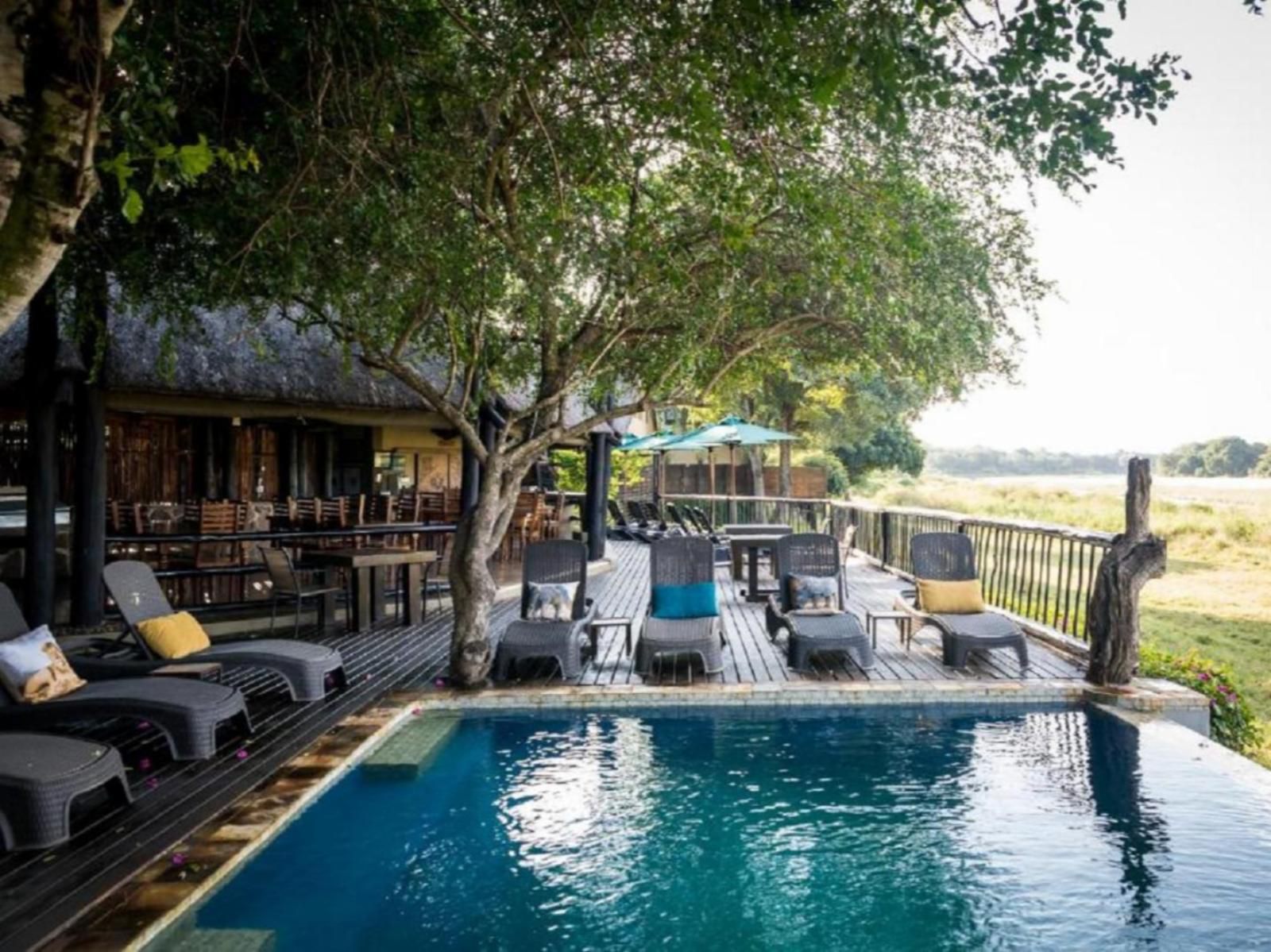 Umkumbe Safari Lodge Riverside Sabi Sand Reserve Mpumalanga South Africa Bar, Swimming Pool