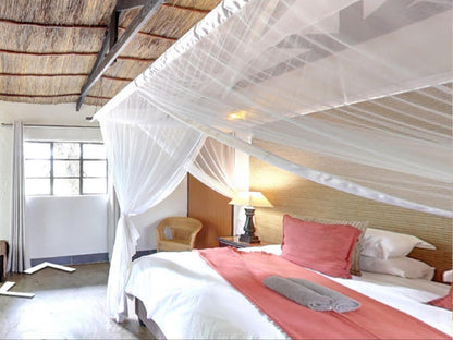 Standard Room 1 @ Umkumbe Safari Lodge Riverside