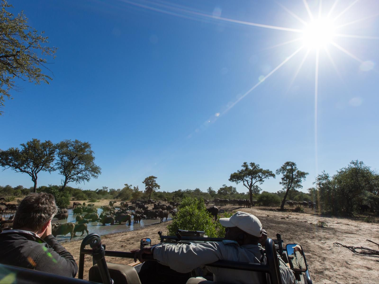 Umlani Bushcamp, Boat, Vehicle, Sky, Nature, Person