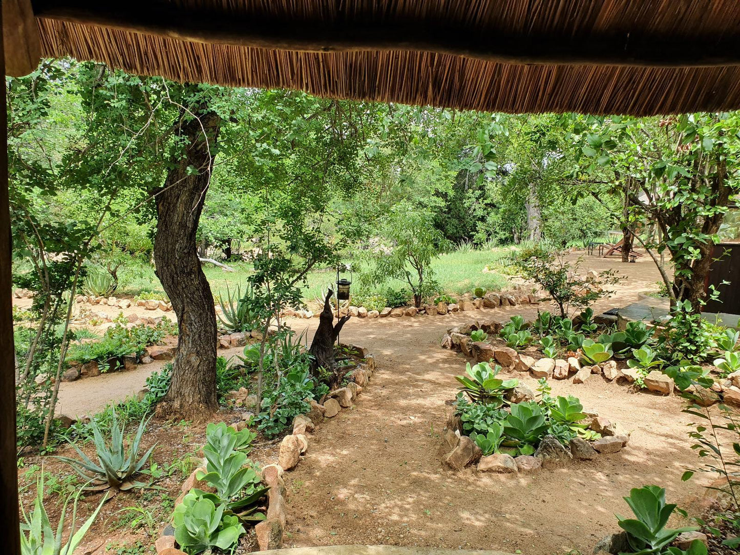 Hut 5 Elephant - Reed Hut @ Umlani Bush Camp Timbavati Game Reserve