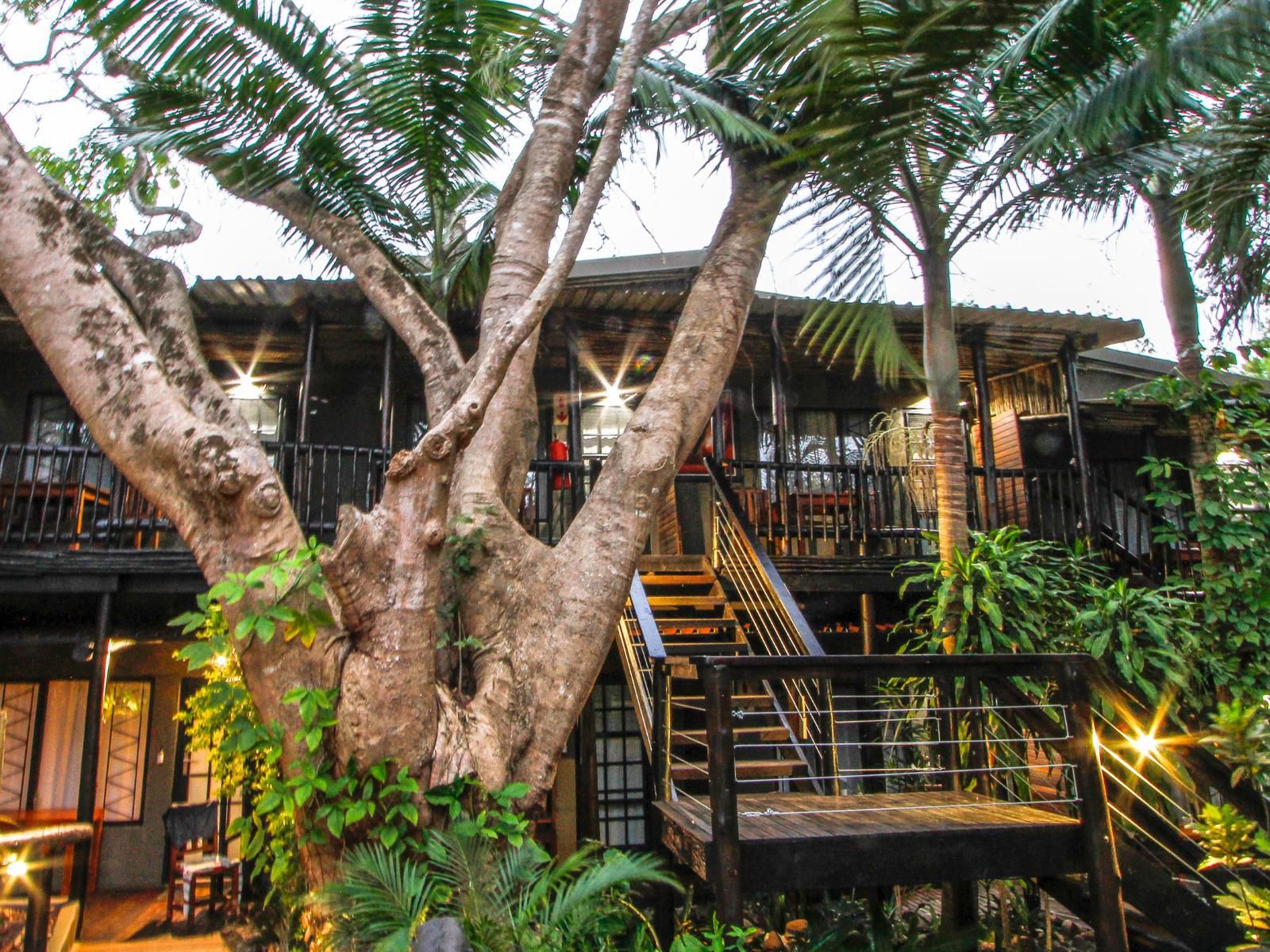 Umlilo Lodge, Palm Tree, Plant, Nature, Wood