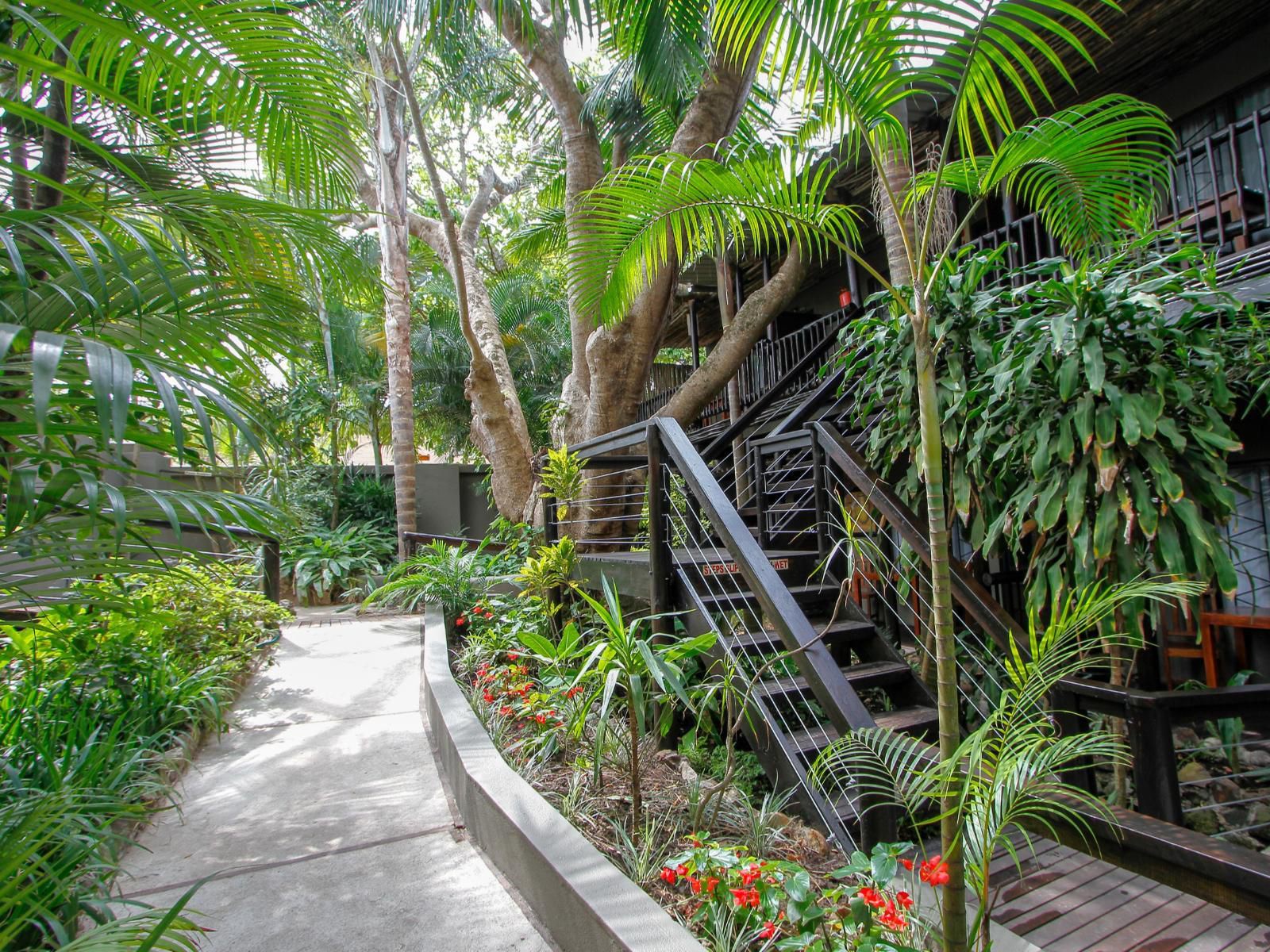 Umlilo Lodge, Palm Tree, Plant, Nature, Wood