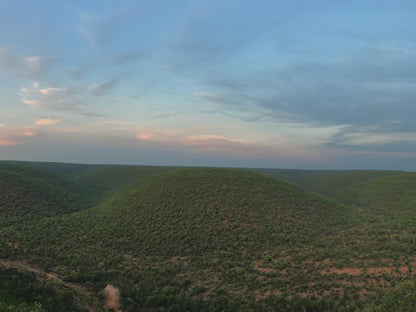 Umlondolozi Game Farm Vaalwater Limpopo Province South Africa Nature