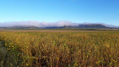 Umpukane Clocolan Free State South Africa Complementary Colors, Colorful, Field, Nature, Agriculture, Lowland