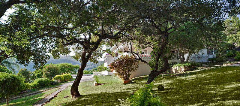 Umsisi House White River Mpumalanga South Africa House, Building, Architecture, Palm Tree, Plant, Nature, Wood, Tree