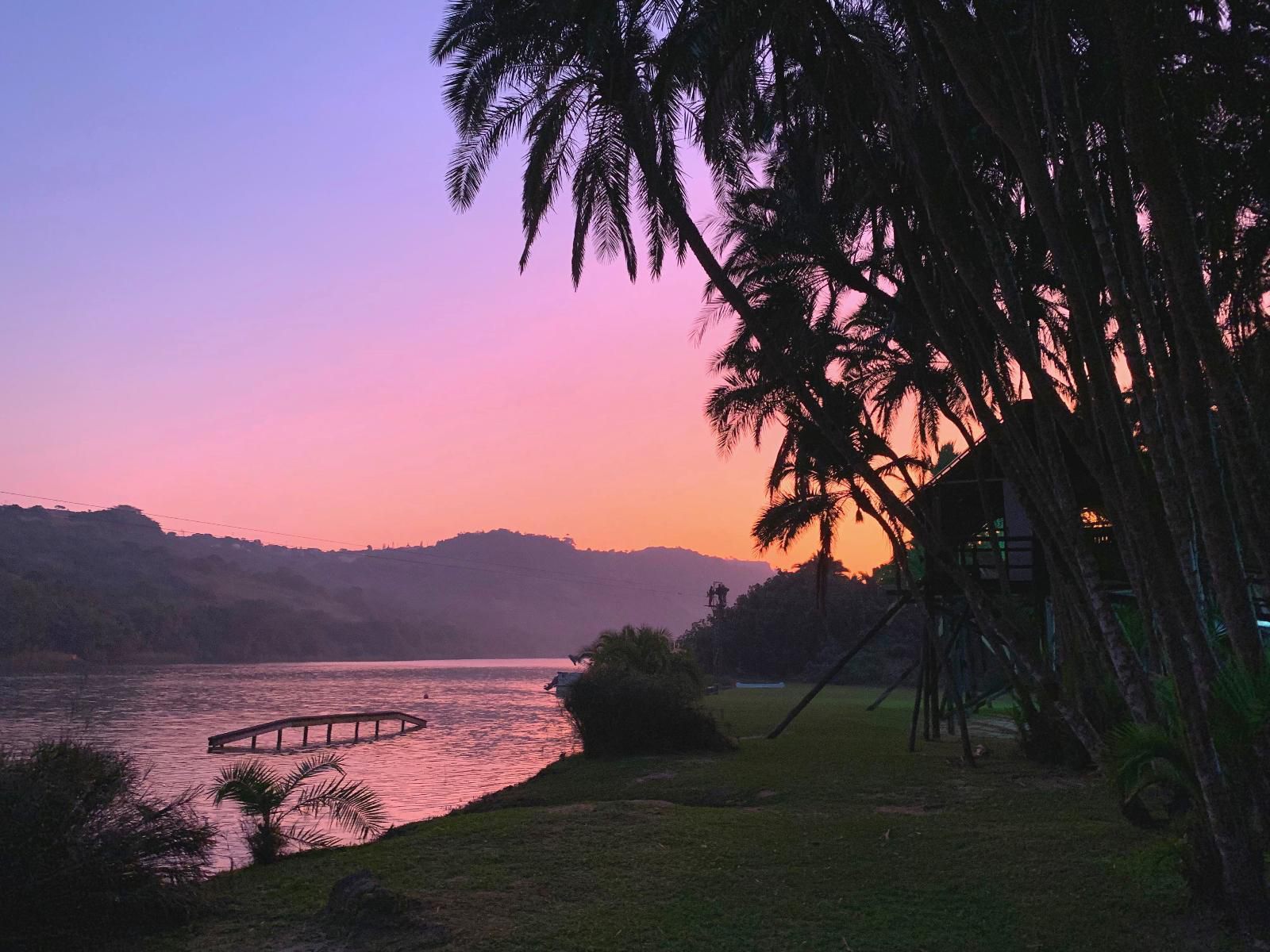 Umtamvuna River Lodge Rennies Beach Port Edward Kwazulu Natal South Africa Palm Tree, Plant, Nature, Wood, Sunset, Sky