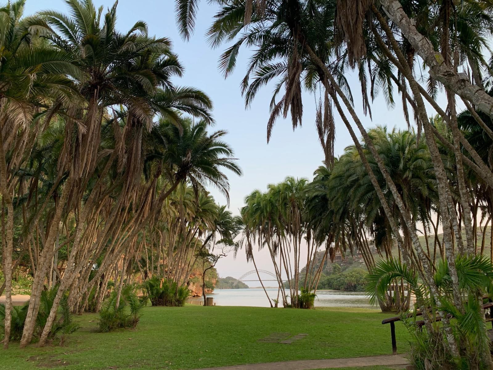 Umtamvuna River Lodge Rennies Beach Port Edward Kwazulu Natal South Africa Beach, Nature, Sand, Palm Tree, Plant, Wood