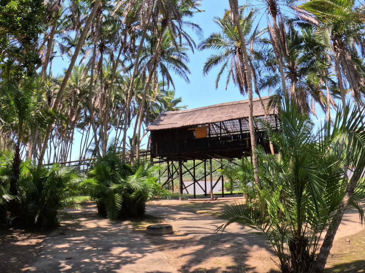 Umtamvuna River Lodge Rennies Beach Port Edward Kwazulu Natal South Africa Beach, Nature, Sand, Palm Tree, Plant, Wood