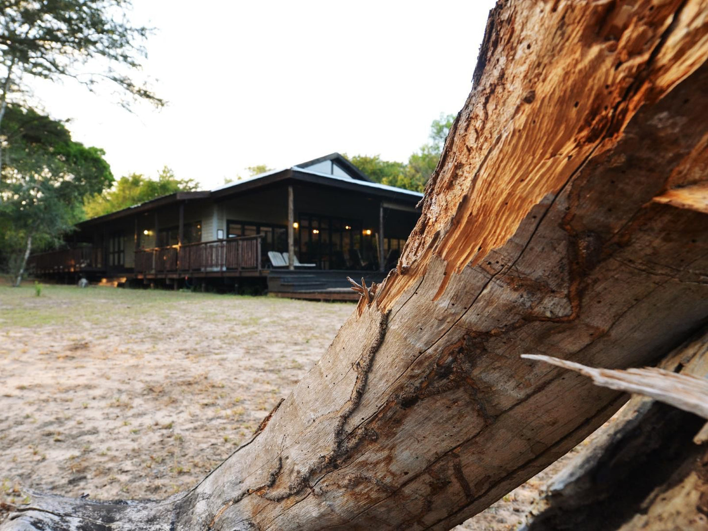 Umthiba Hluhluwe Kwazulu Natal South Africa Cabin, Building, Architecture, Tree, Plant, Nature, Wood