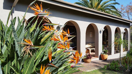 Umtu Plettenberg Bay Western Cape South Africa House, Building, Architecture, Palm Tree, Plant, Nature, Wood, Garden