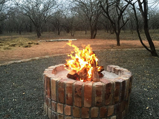 Umvangazi Rest Marloth Park Mpumalanga South Africa Fire, Nature