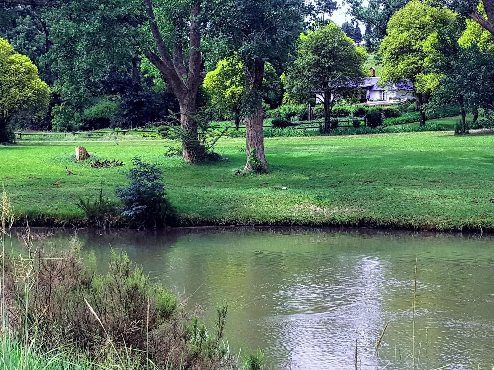 Umzimkulu River Lodge Underberg Kwazulu Natal South Africa Meadow, Nature, River, Waters, Tree, Plant, Wood, Garden