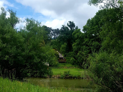 Bower @ Umzimkulu River Lodge