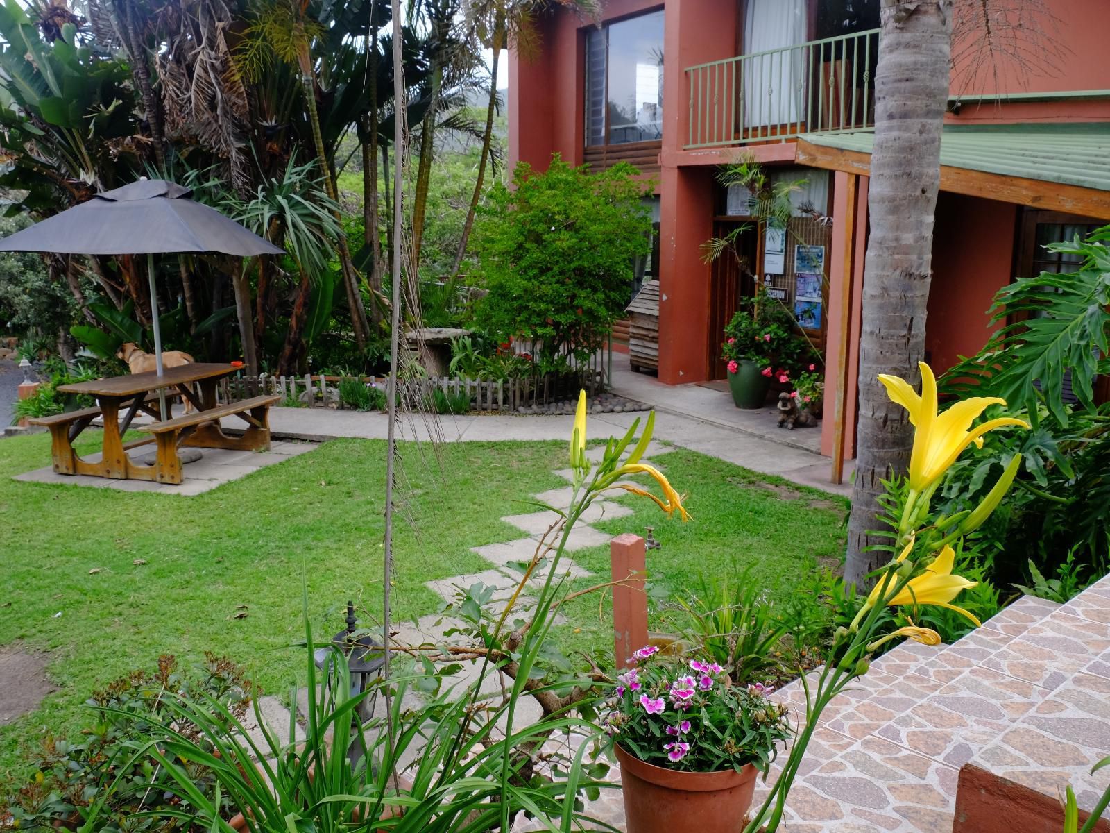 Umzimvubu Retreat Guest House Port St Johns Eastern Cape South Africa House, Building, Architecture, Palm Tree, Plant, Nature, Wood