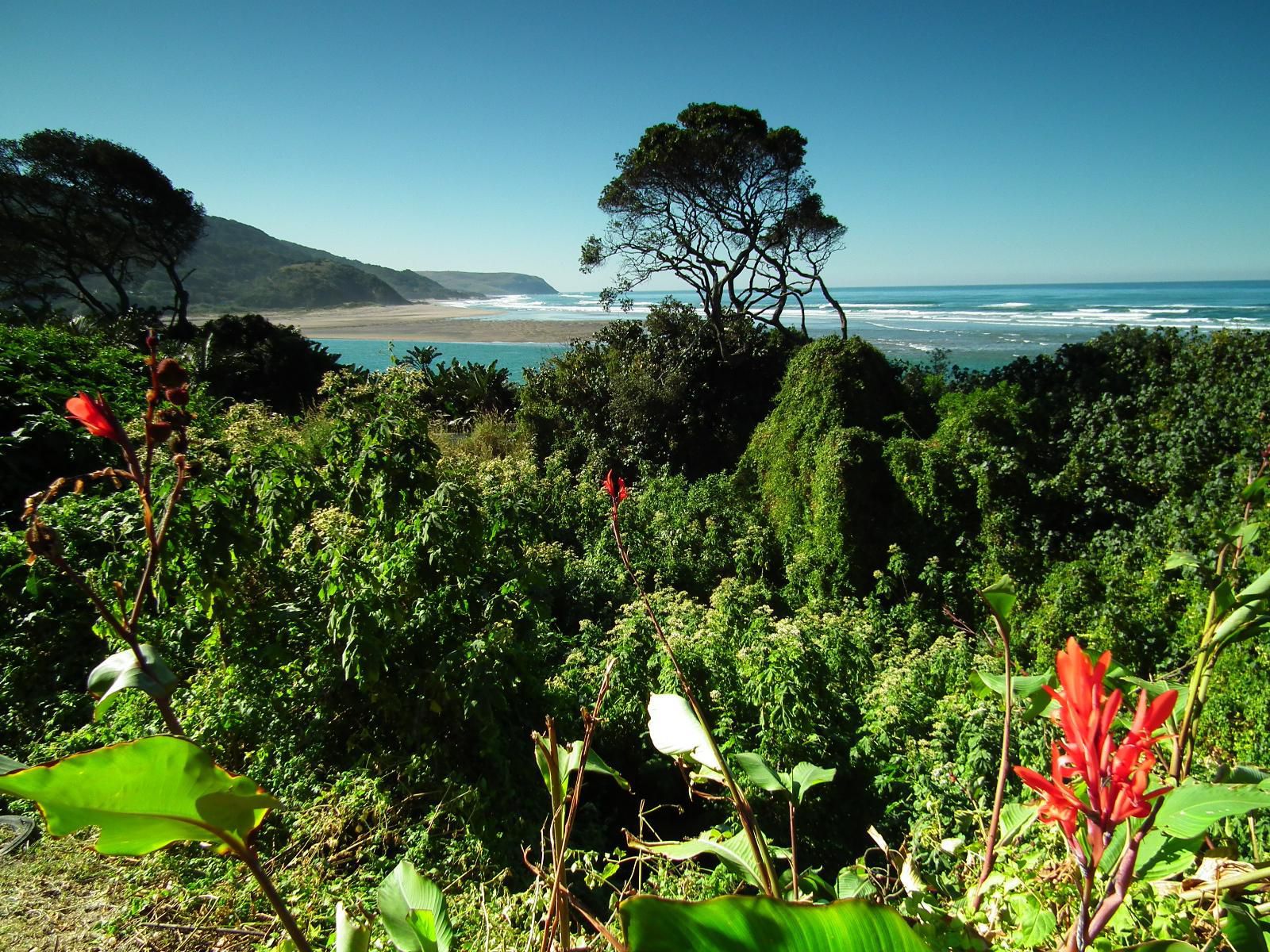 Umzimvubu Retreat Guest House Port St Johns Eastern Cape South Africa Complementary Colors, Beach, Nature, Sand