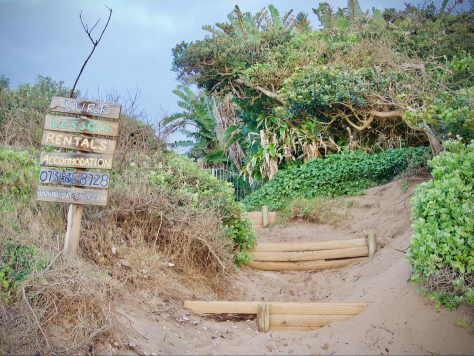 Umzumbe Surf House Umzumbe Hibberdene Kwazulu Natal South Africa Palm Tree, Plant, Nature, Wood, Reptile, Animal