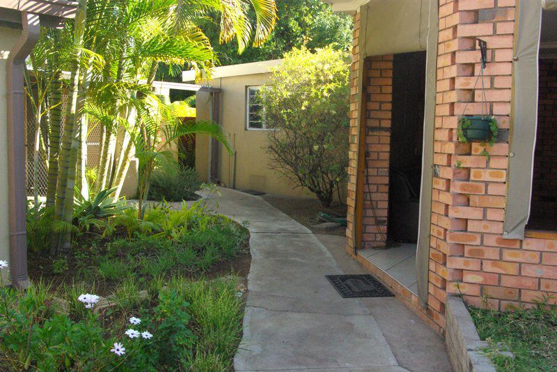 Uncle Tom S Guest House Phalaborwa Limpopo Province South Africa House, Building, Architecture, Palm Tree, Plant, Nature, Wood