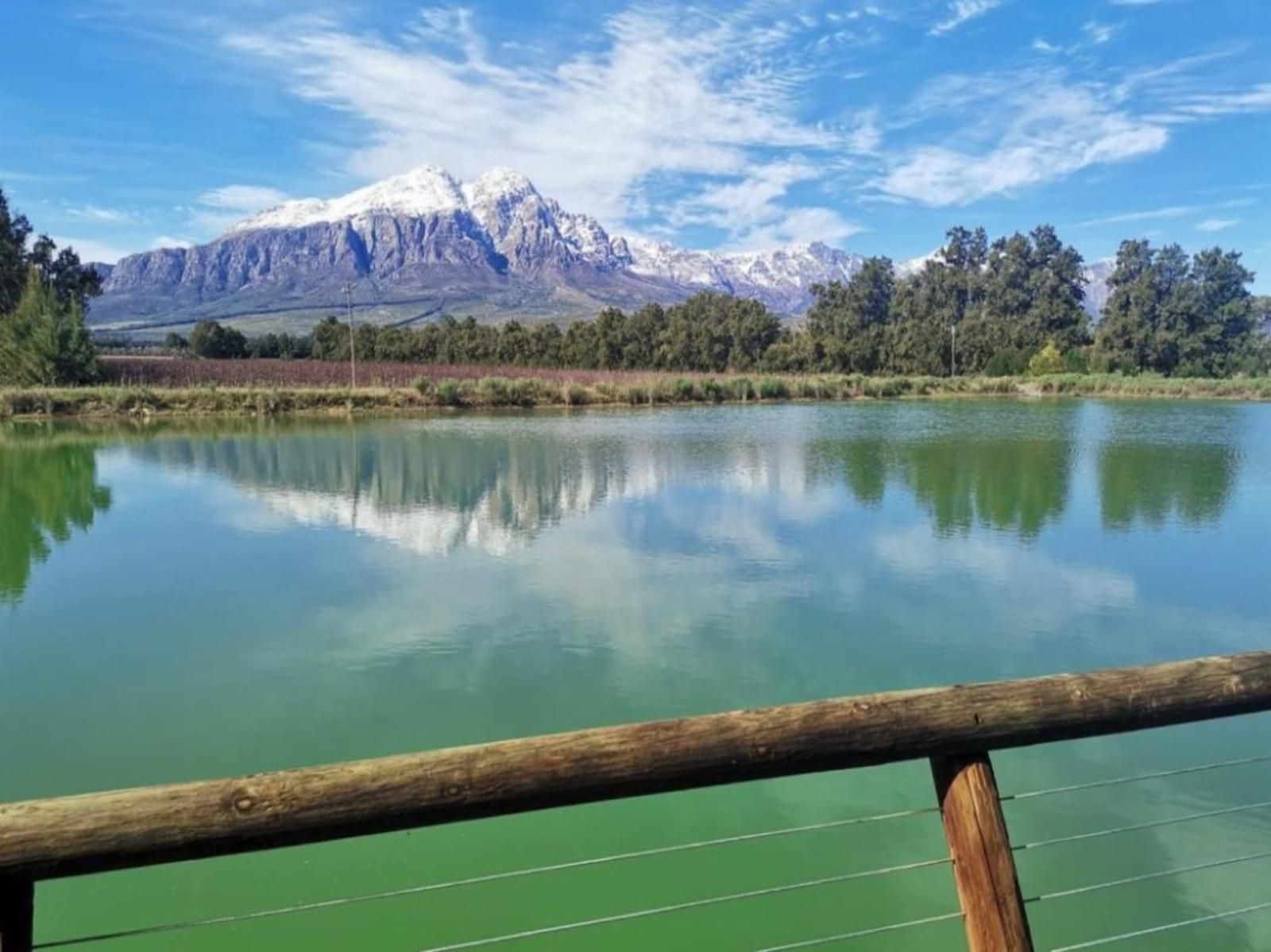 Under Oak Cottage Wolseley Western Cape South Africa Mountain, Nature