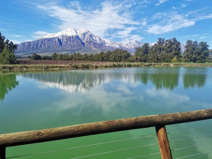 Under Oak Cottage Wolseley Western Cape South Africa Mountain, Nature