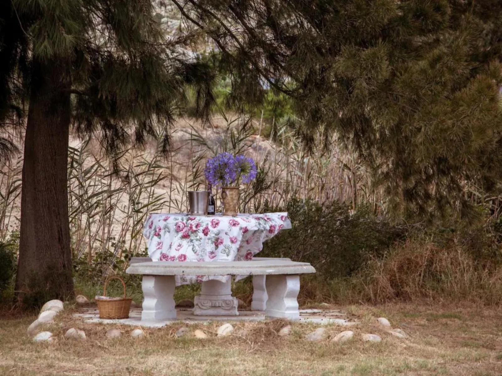 Under Oak Cottage Wolseley Western Cape South Africa Grave, Architecture, Religion, Cemetery