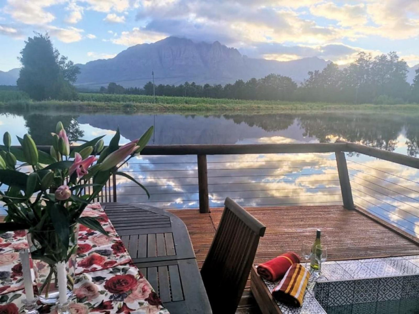 Under Oak Cottage Wolseley Western Cape South Africa Mountain, Nature