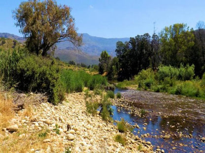 Under Oak Cottage Wolseley Western Cape South Africa Complementary Colors, River, Nature, Waters