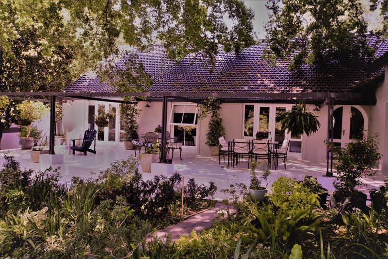 Under The Oak Bed And Breakfast Elton Hill Johannesburg Gauteng South Africa House, Building, Architecture, Garden, Nature, Plant