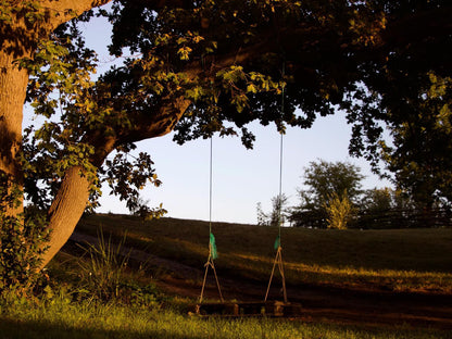 Underhill, Tree, Plant, Nature, Wood