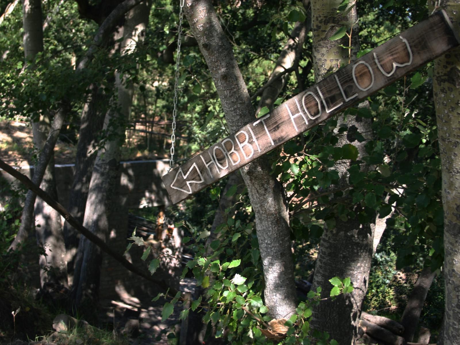 Underhill, Forest, Nature, Plant, Tree, Wood, Sign, Text