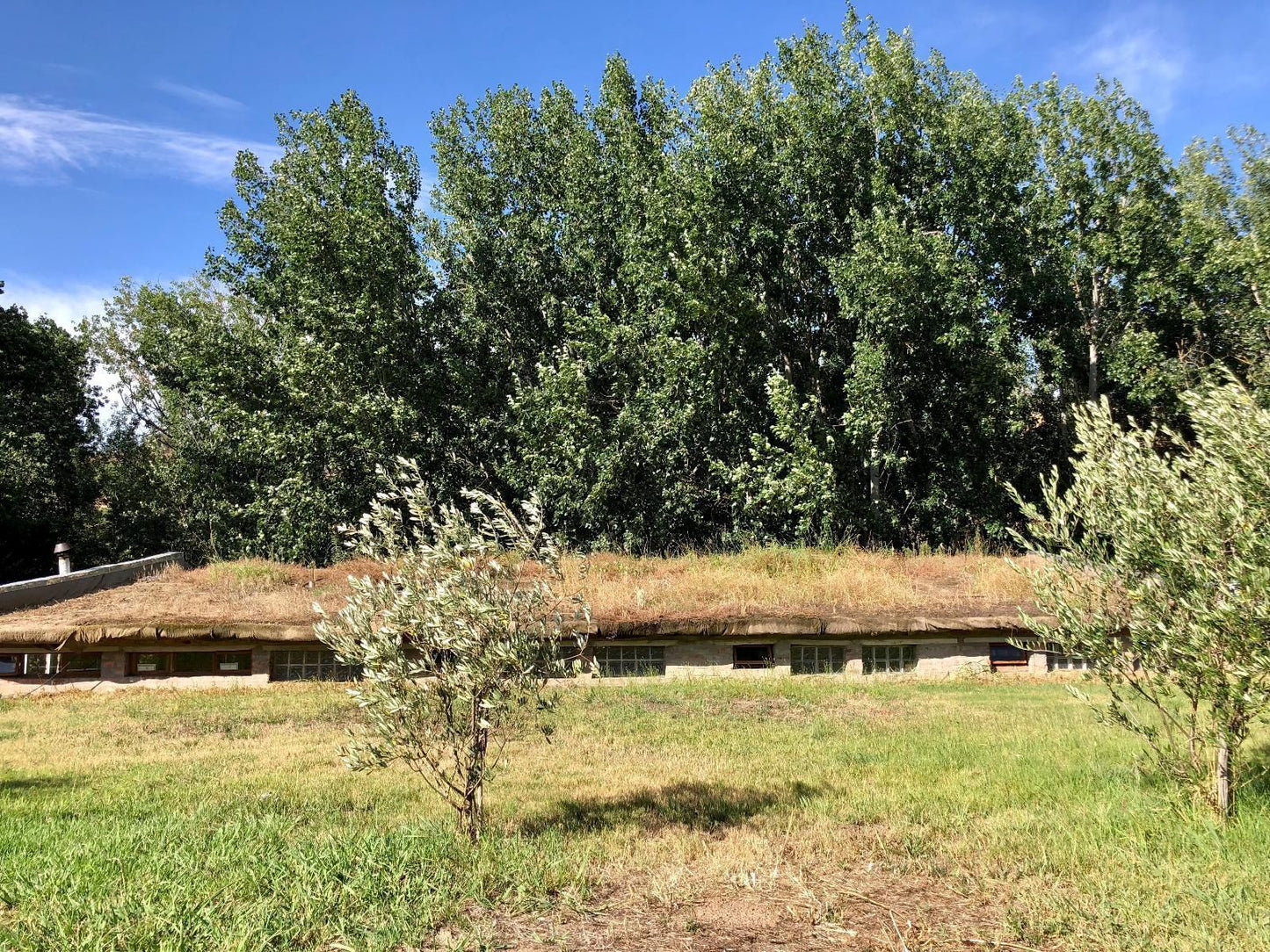 Underhill, Rivendell Cottage, Tree, Plant, Nature, Wood