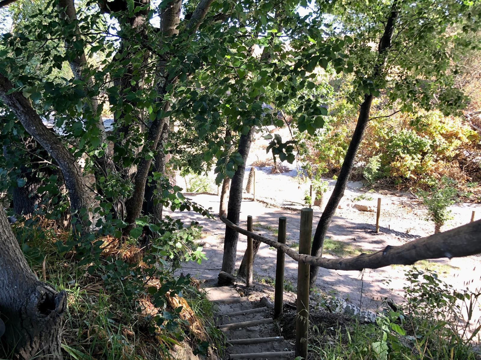 Underhill Farm Bot River Western Cape South Africa Forest, Nature, Plant, Tree, Wood