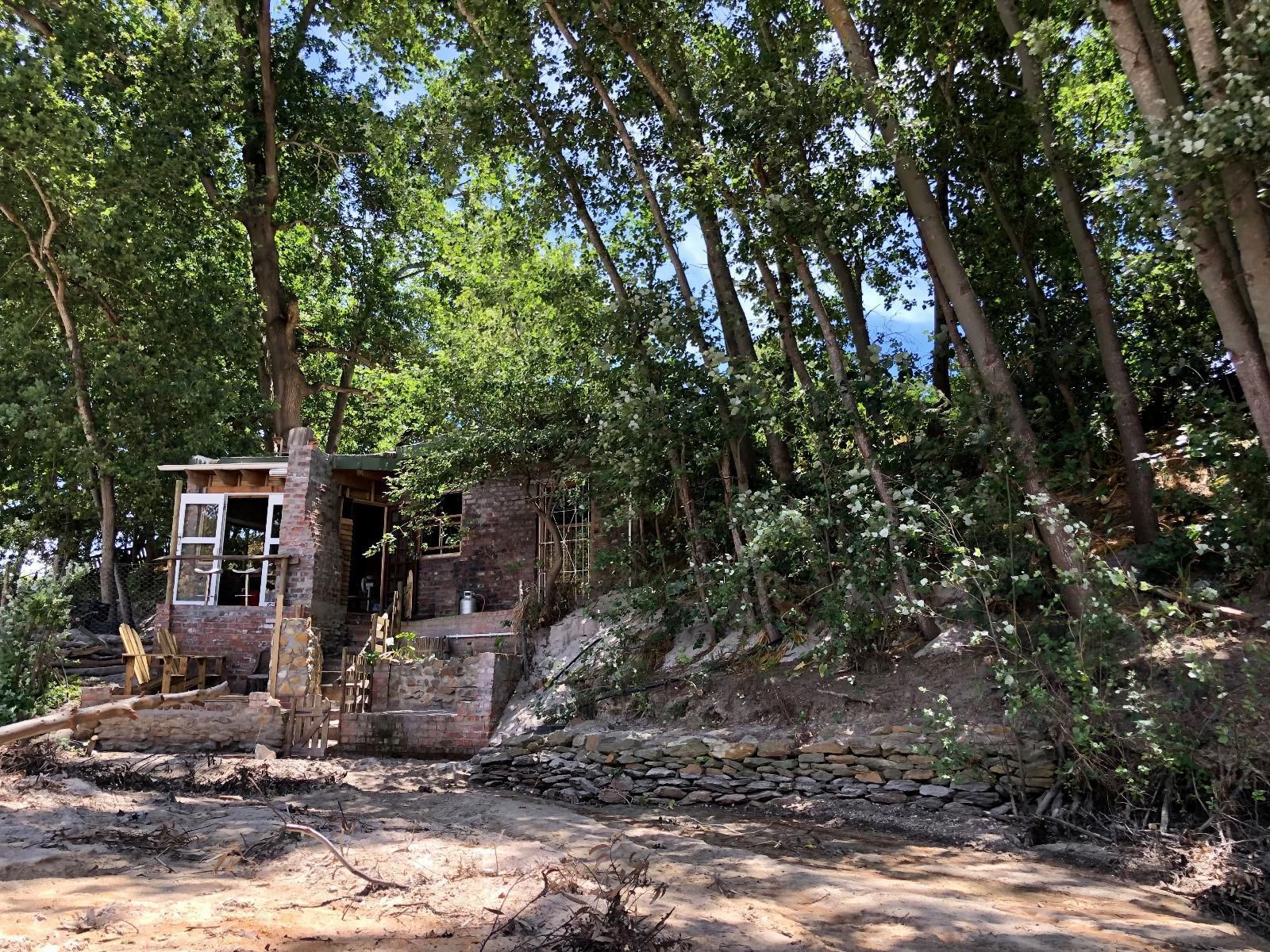 Underhill Farm Bot River Western Cape South Africa Forest, Nature, Plant, Tree, Wood, Ruin, Architecture