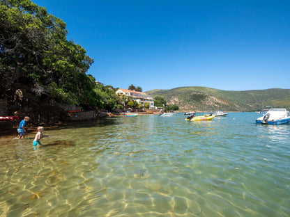 Under Milkwood The Heads Knysna Western Cape South Africa Complementary Colors, Beach, Nature, Sand