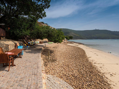 Under Milkwood The Heads Knysna Western Cape South Africa Beach, Nature, Sand