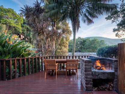 Under Milkwood The Heads Knysna Western Cape South Africa Palm Tree, Plant, Nature, Wood