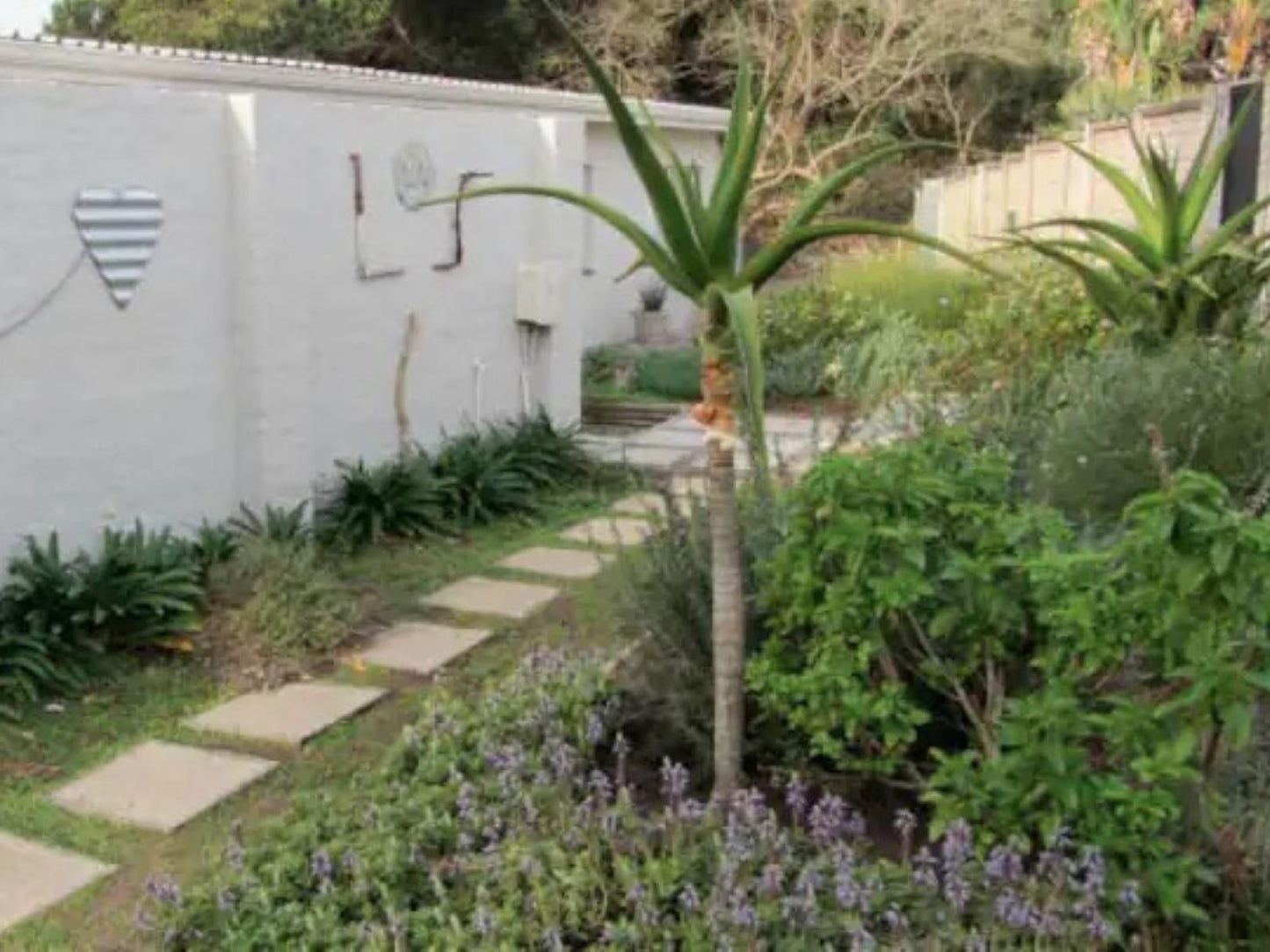 Under Milkwood Chintsa West Chintsa Eastern Cape South Africa Palm Tree, Plant, Nature, Wood, Text, Wall, Architecture, Garden