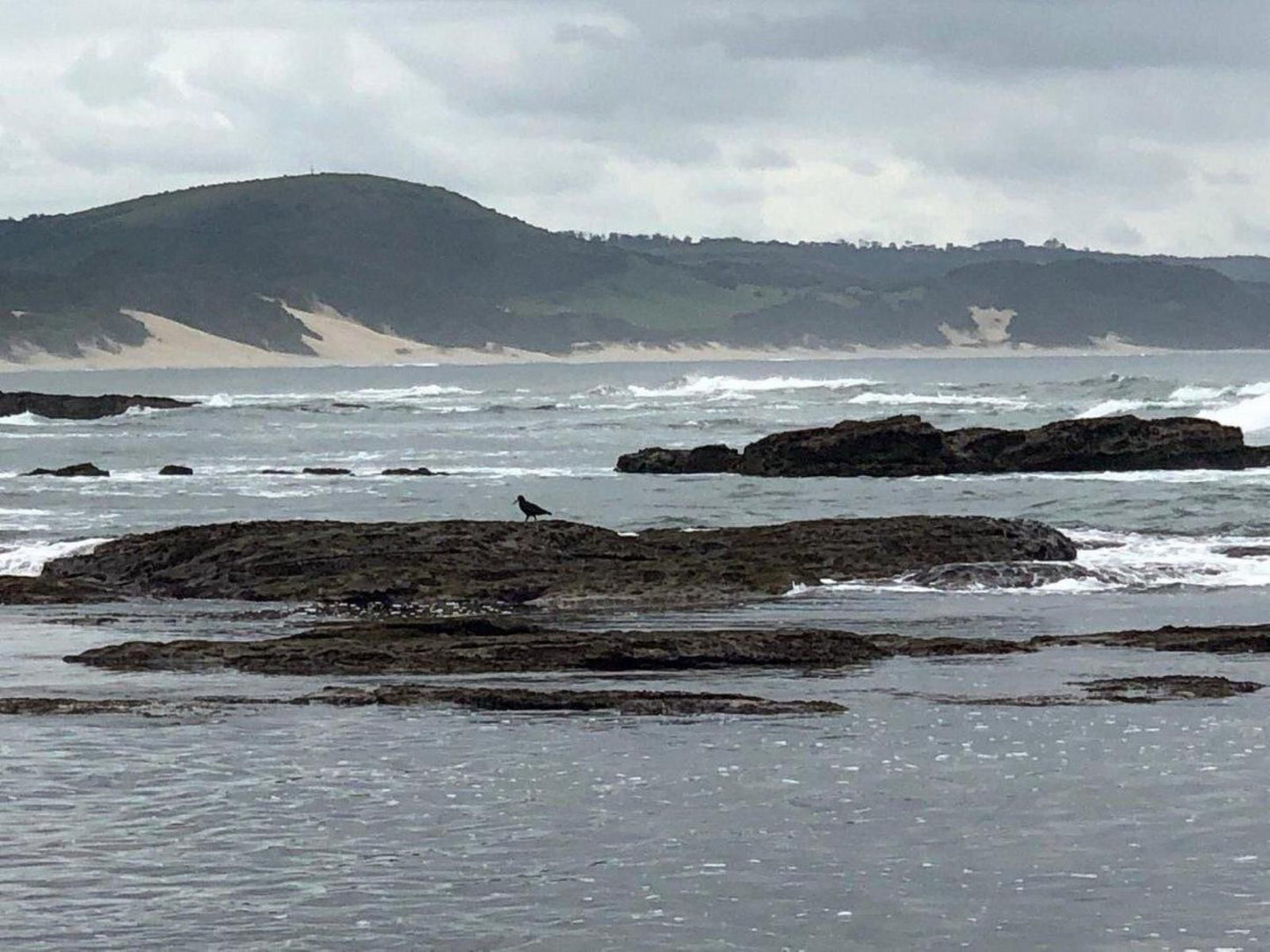 Under Milkwood Chintsa West Chintsa Eastern Cape South Africa Unsaturated, Beach, Nature, Sand, Cliff, Wave, Waters, Ocean