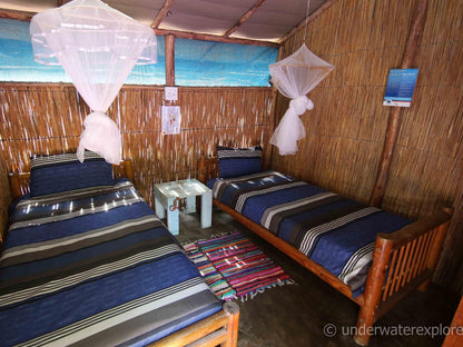 Underwater Explorers, Beach Casetas - Family, Bedroom