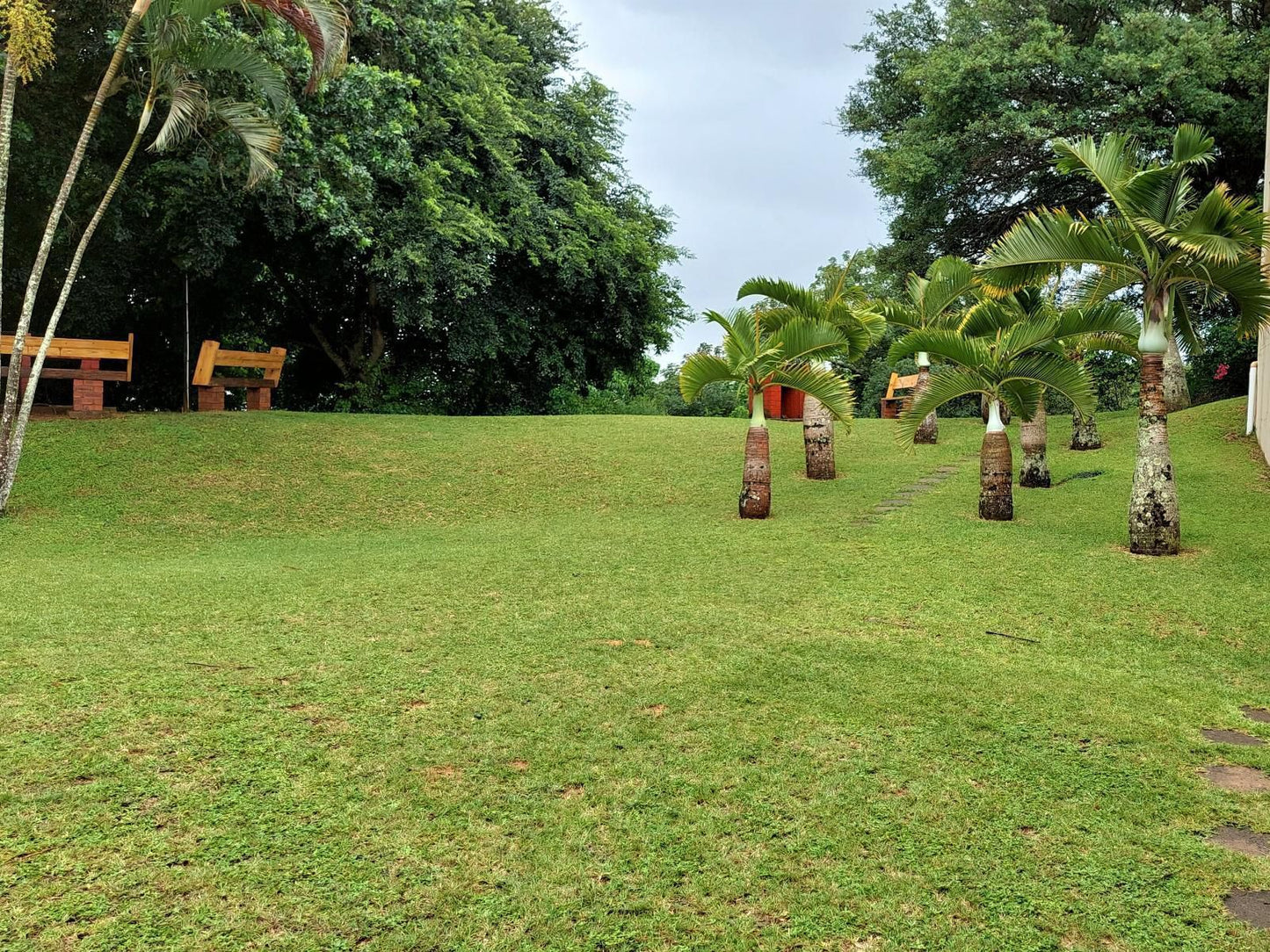 Unit 54 The Bridge St Lucia Kwazulu Natal South Africa Palm Tree, Plant, Nature, Wood