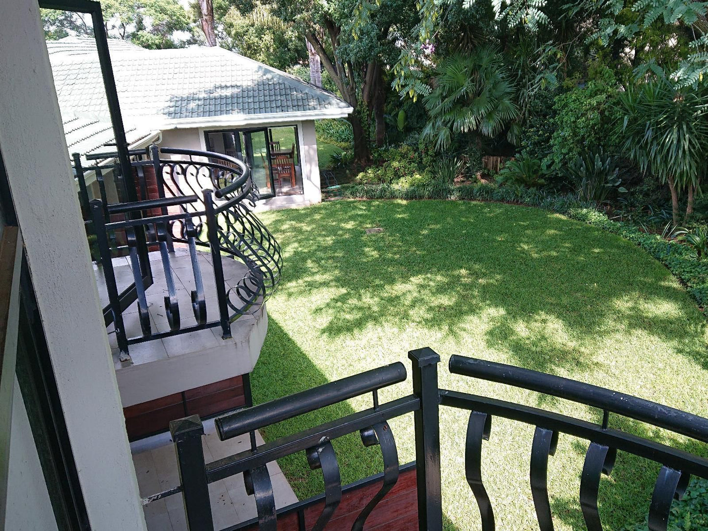 Unitas Guesthouse Die Hoewes Centurion Gauteng South Africa Palm Tree, Plant, Nature, Wood, Garden