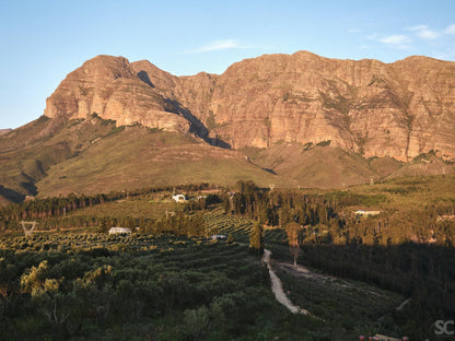 Untether On Olive View, Mountain, Nature, Highland