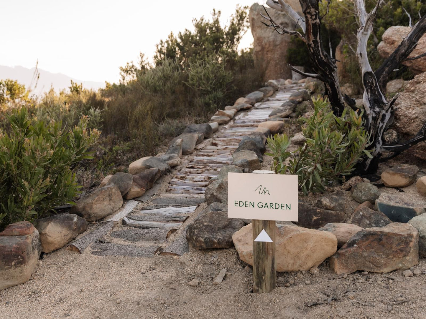 Untether On Olive View, Cactus, Plant, Nature, Sign, Text